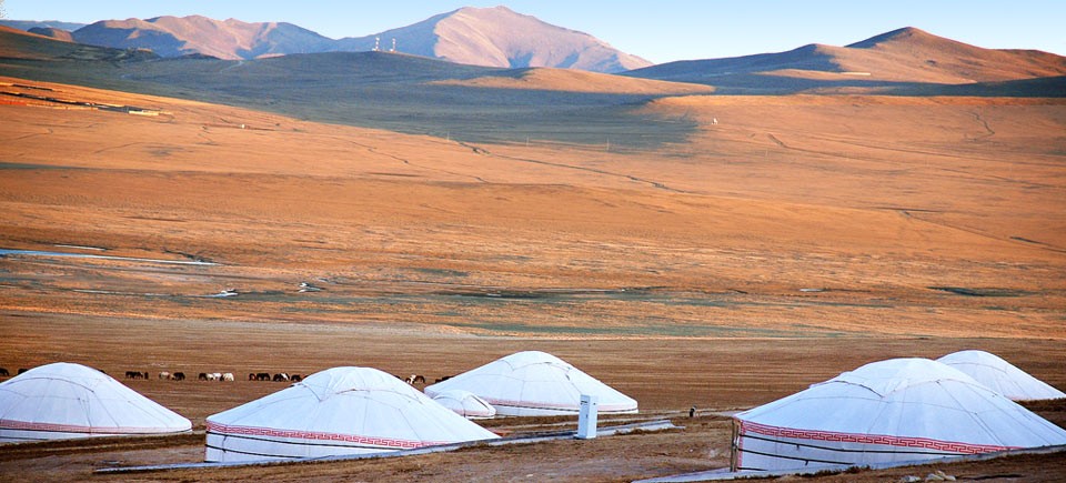 Tra Puglia e Mongolia